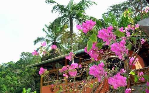 Casa de hóspedes Vivendas Do Morro